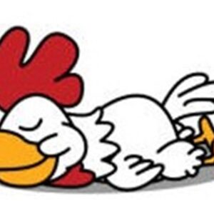 Zelfk(r)ant Uitslaapservice